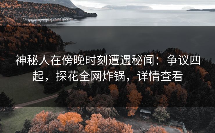 神秘人在傍晚时刻遭遇秘闻：争议四起，探花全网炸锅，详情查看