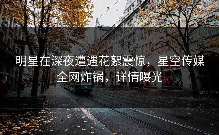 明星在深夜遭遇花絮震惊，星空传媒全网炸锅，详情曝光