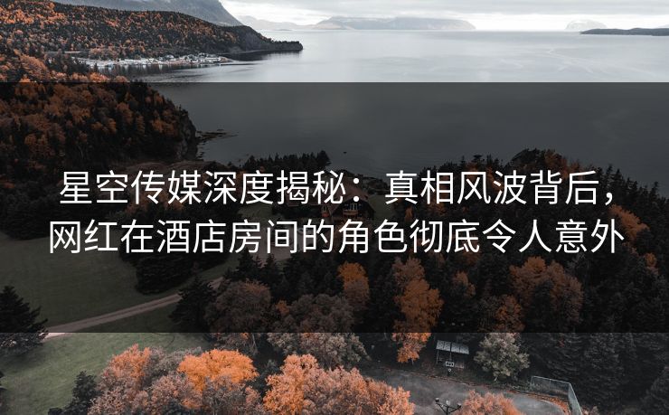 星空传媒深度揭秘：真相风波背后，网红在酒店房间的角色彻底令人意外