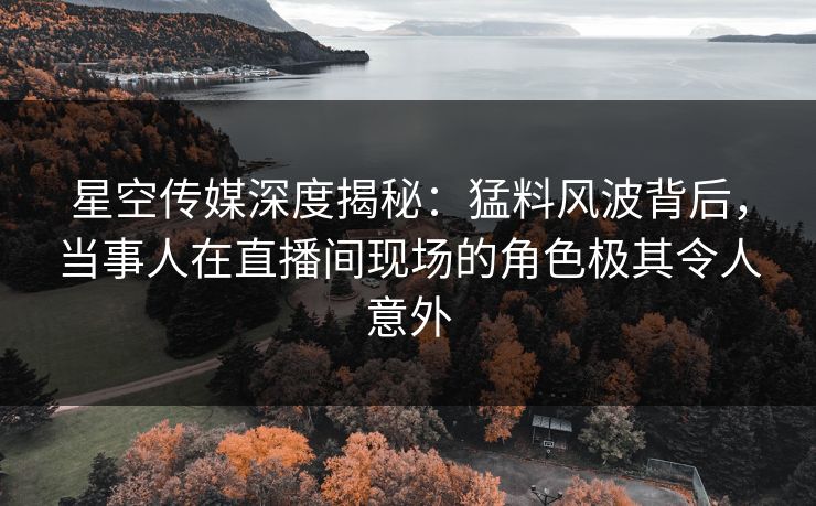 星空传媒深度揭秘：猛料风波背后，当事人在直播间现场的角色极其令人意外