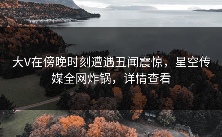 大V在傍晚时刻遭遇丑闻震惊，星空传媒全网炸锅，详情查看