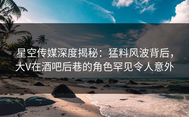 星空传媒深度揭秘：猛料风波背后，大V在酒吧后巷的角色罕见令人意外