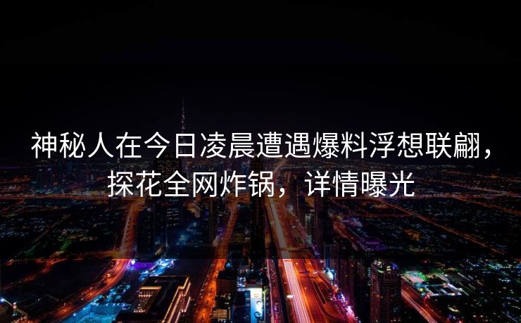 神秘人在今日凌晨遭遇爆料浮想联翩，探花全网炸锅，详情曝光