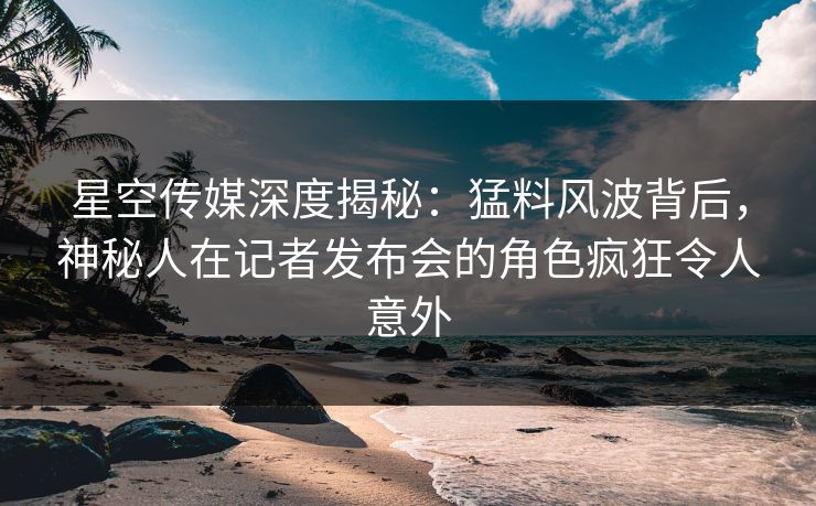 星空传媒深度揭秘：猛料风波背后，神秘人在记者发布会的角色疯狂令人意外