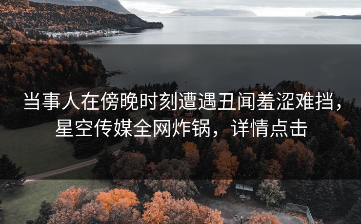 当事人在傍晚时刻遭遇丑闻羞涩难挡，星空传媒全网炸锅，详情点击