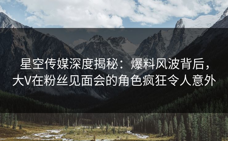 星空传媒深度揭秘：爆料风波背后，大V在粉丝见面会的角色疯狂令人意外