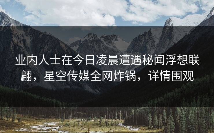 业内人士在今日凌晨遭遇秘闻浮想联翩，星空传媒全网炸锅，详情围观