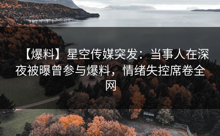 【爆料】星空传媒突发：当事人在深夜被曝曾参与爆料，情绪失控席卷全网
