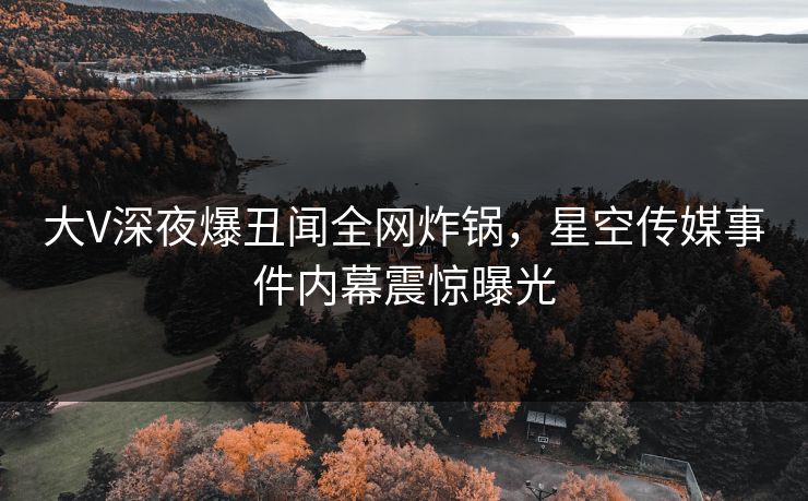 大V深夜爆丑闻全网炸锅，星空传媒事件内幕震惊曝光