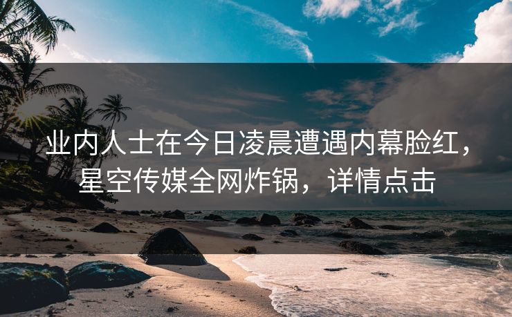 业内人士在今日凌晨遭遇内幕脸红，星空传媒全网炸锅，详情点击