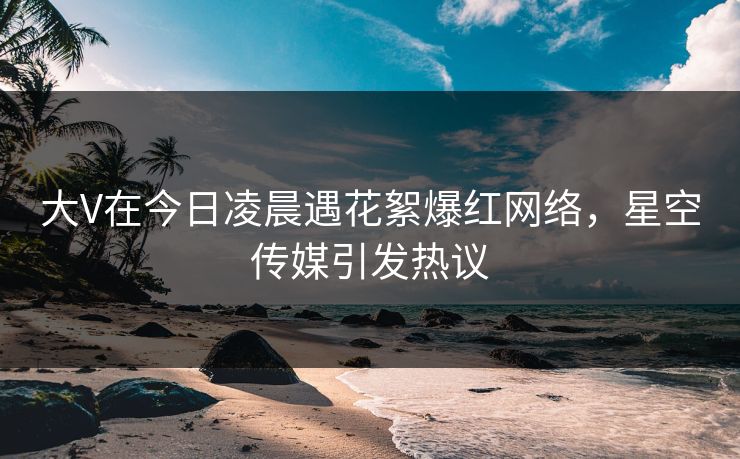 大V在今日凌晨遇花絮爆红网络，星空传媒引发热议