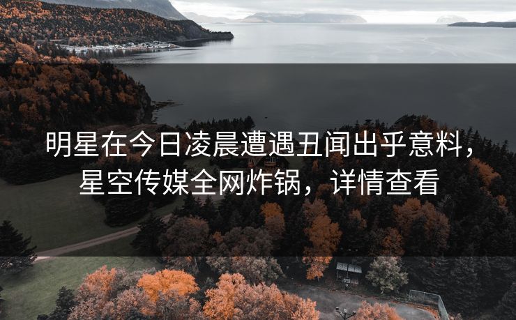 明星在今日凌晨遭遇丑闻出乎意料，星空传媒全网炸锅，详情查看
