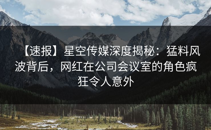 【速报】星空传媒深度揭秘：猛料风波背后，网红在公司会议室的角色疯狂令人意外