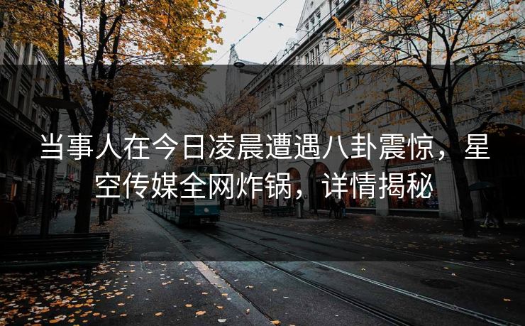当事人在今日凌晨遭遇八卦震惊，星空传媒全网炸锅，详情揭秘