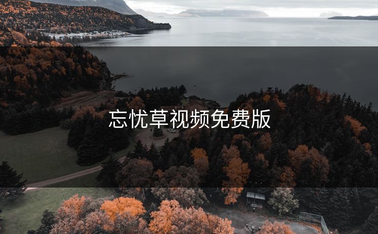 忘忧草视频免费版