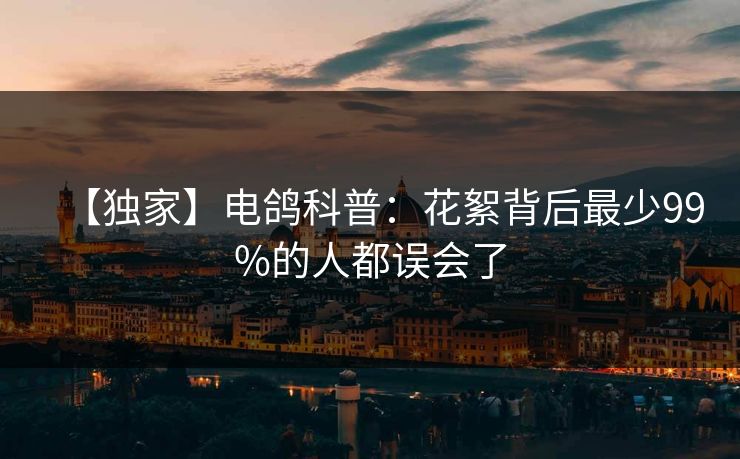 【独家】电鸽科普：花絮背后最少99%的人都误会了