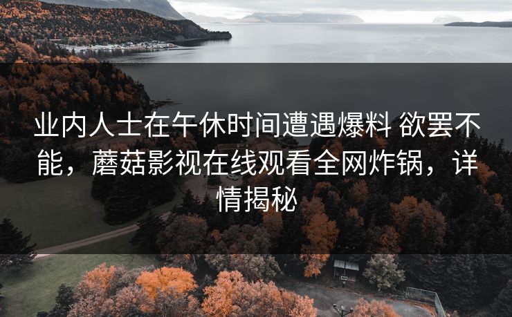 业内人士在午休时间遭遇爆料 欲罢不能，蘑菇影视在线观看全网炸锅，详情揭秘