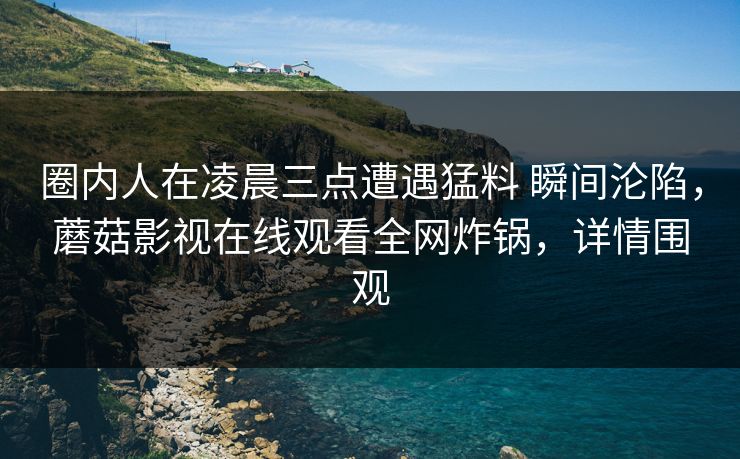 圈内人在凌晨三点遭遇猛料 瞬间沦陷，蘑菇影视在线观看全网炸锅，详情围观